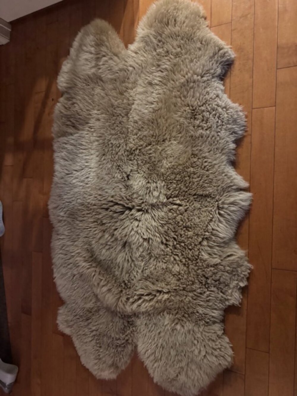 UgG Rug - Picture 2 of 3